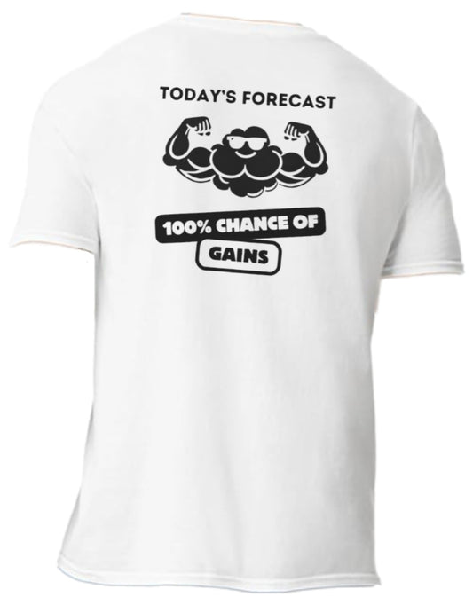 Gains Forecast
